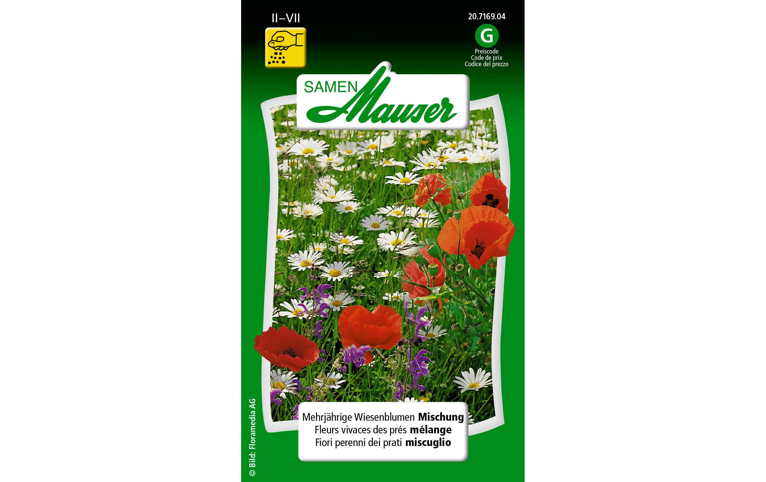 Saatgut Mehrjährige Wiesenblumen MischungBlumensamen