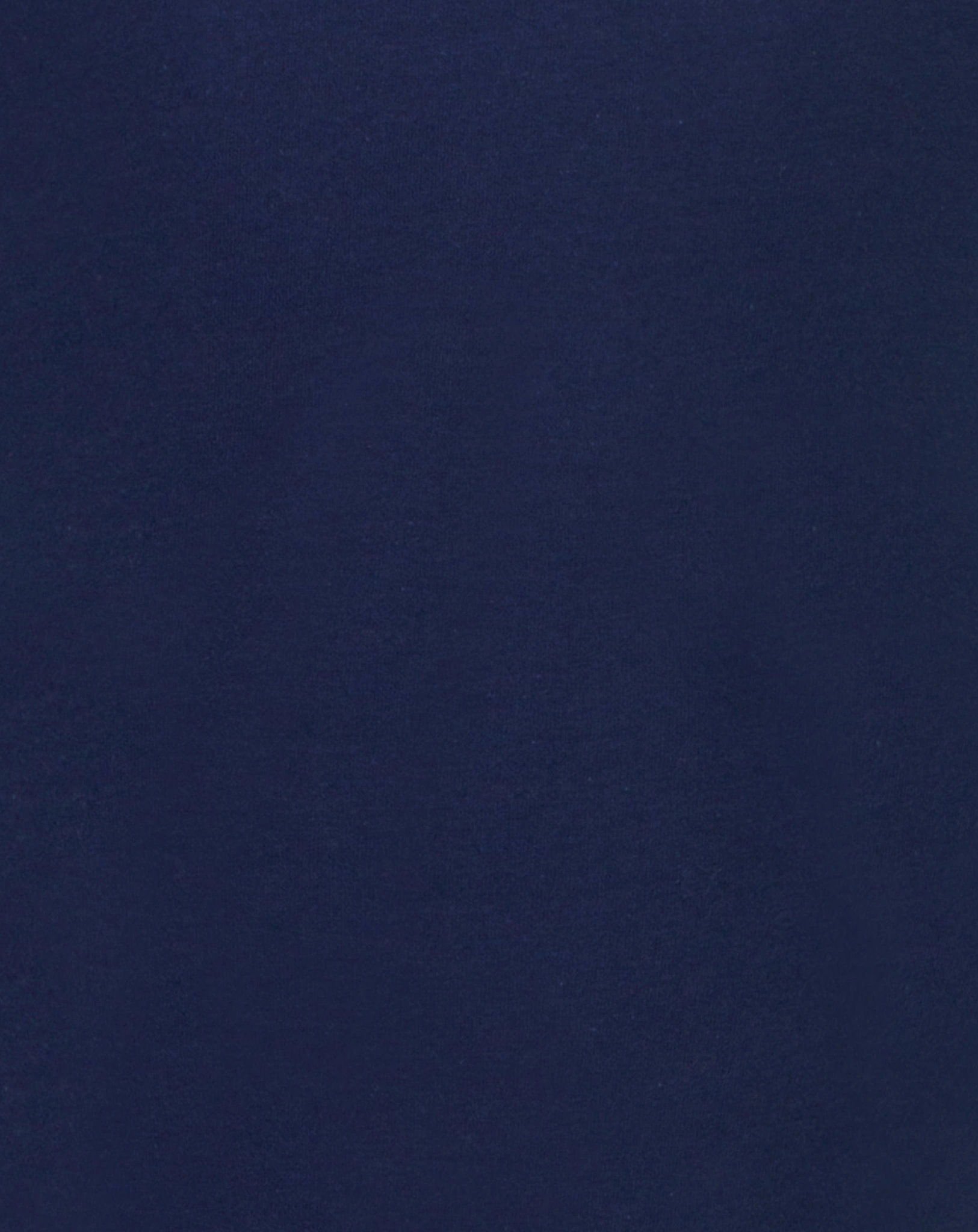 Langarmshirt GOOD TIMES - WILD AT HEART in true navy