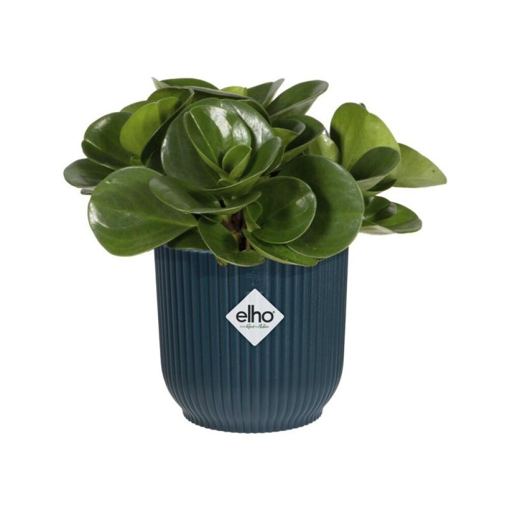 INNEPOTTE ELHO VIBES FOLD ROUND Ø25CM BLÅ