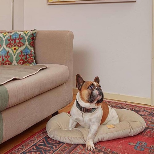 Cama para animais de estimação Ferplast Stuart bege