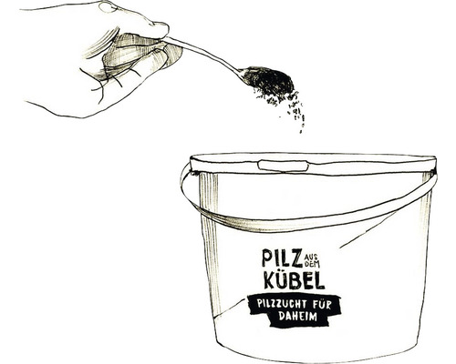 Mushroom Biohelp Oesterzwam Eetbare Paddenstoelen Kweekset Paddenstoelen uit een Emmer Paddenstoelen Kweken voor Thuis