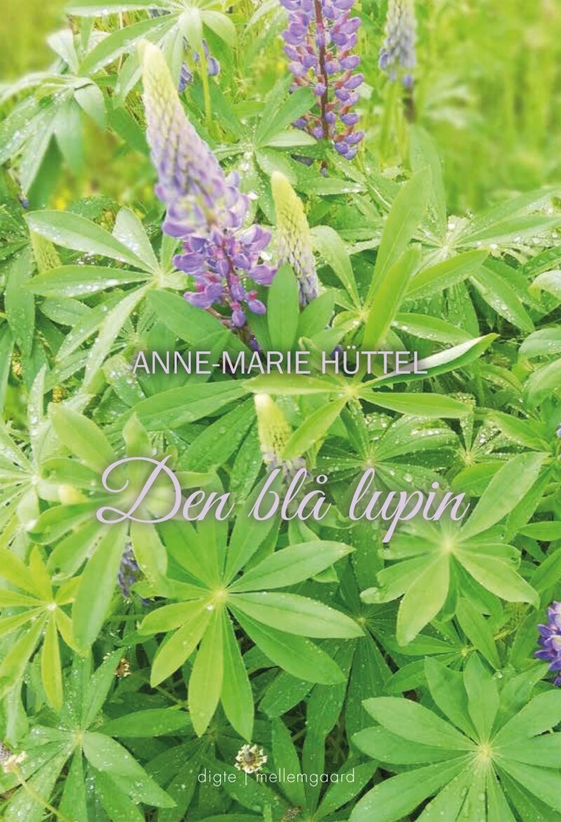 Den Blå Lupin - Anne-Marie Hüttel - Bog