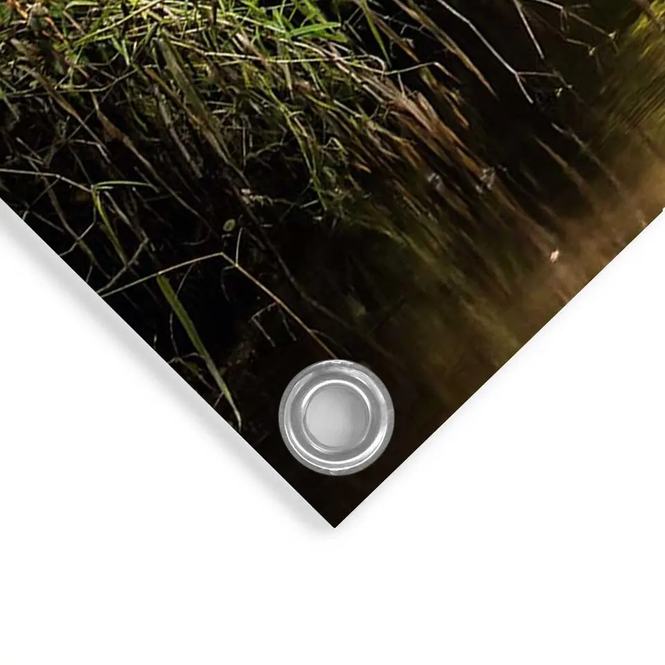 Tuinposter Beek in het bos - 60x80cm - Groen