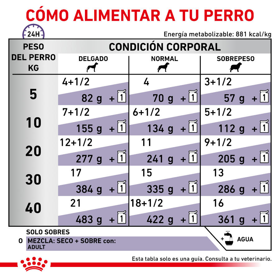Sachê Royal Canin Expert Adult em molho para cães - Pacote