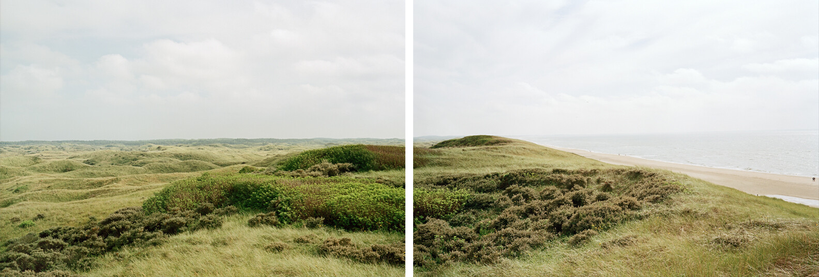Westerduinen 1 by Jan Koster - Limited Edition. Edition of: 100. Signed.