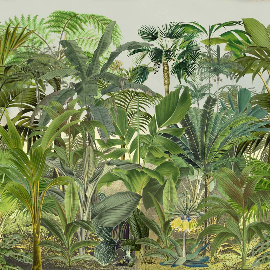 Tropische Landschaft von Andrea Haase