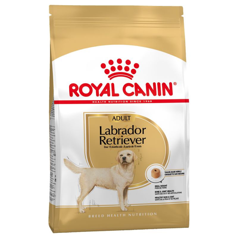 Royal Canin Labrador Retriever Adult à prix discount sur bitiba.fr