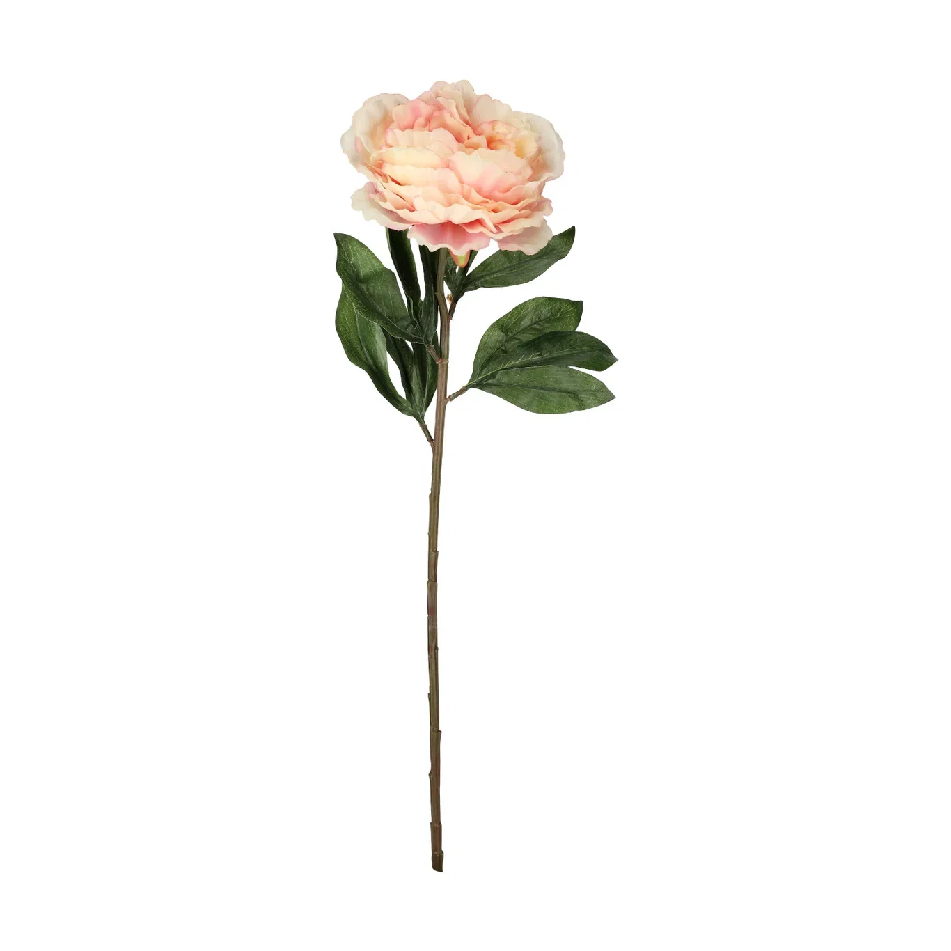 Pion snitt kunstig Høyde 63 cm
