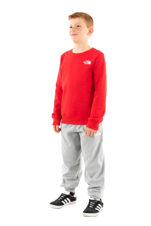 Sweat the north face box nse regular crew 6821 tnf red