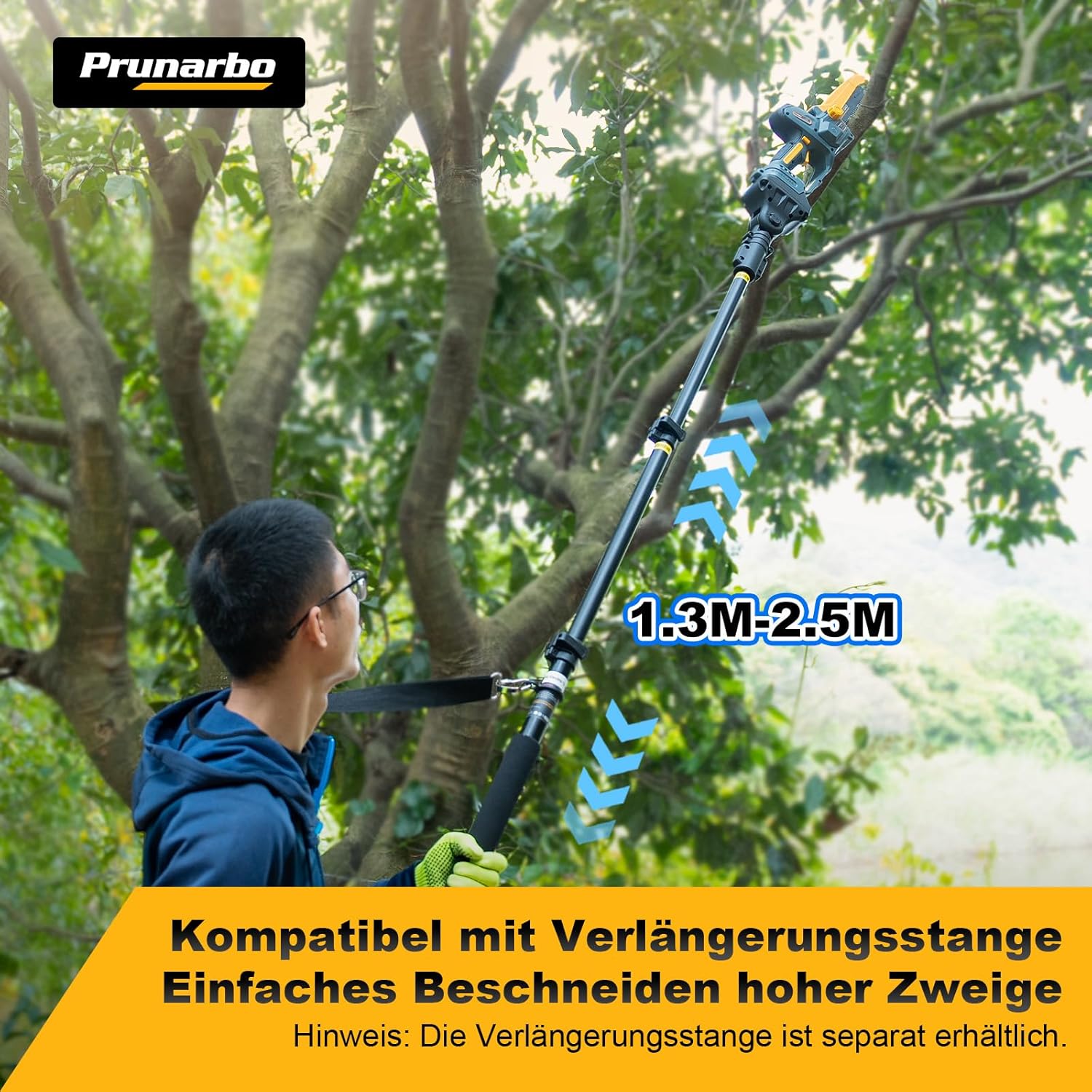Akku-Kettensäge Elektrisch 8-Zoll 2x 4.0Ah, Kabellos & 900W Brushless - Perfekt für Gartenschnitt, Holzbearbeitung & Heimwerken (PR-E8)