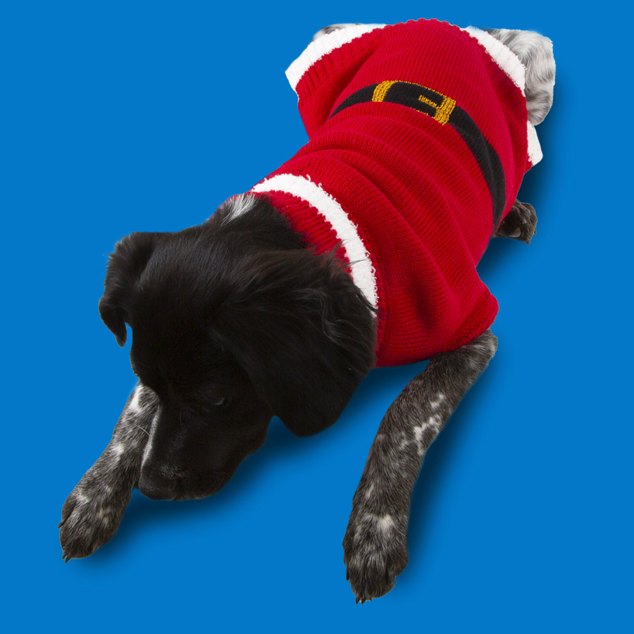 Suéter de Natal do Papai Noel para cães