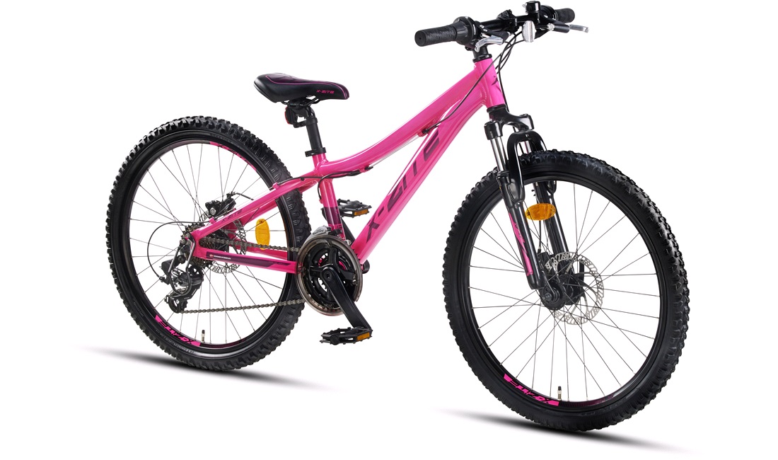 Mountainbike 2421 24