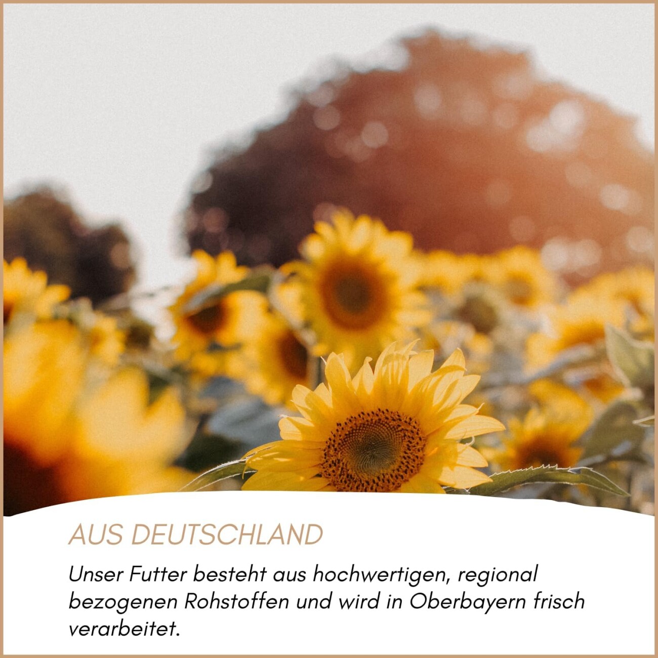 Supravit Sonnenblumenkerne - energiereiches Streufutter für das ganze Jahr 2,5 kg