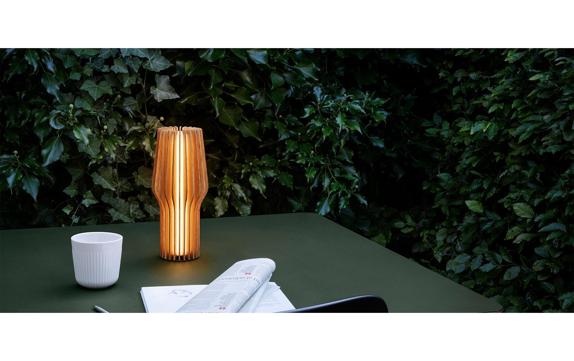 Tischleuchte Radiant, 28.5 cm, Braun<br>LED-Lampe aus Eichenholz