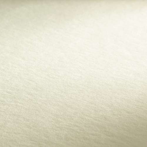 Hahnemühle 