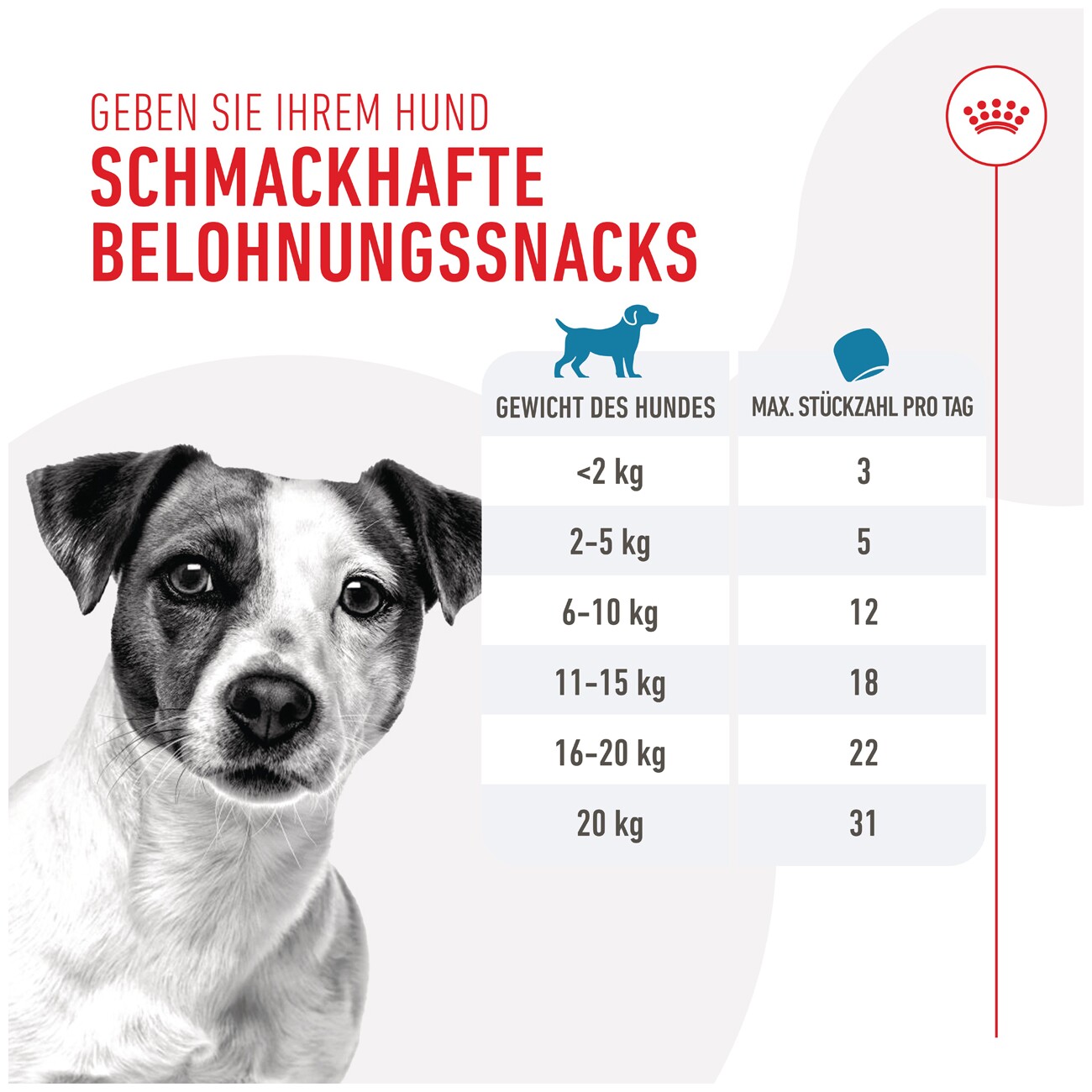 ROYAL CANIN Training Snacks