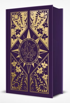 The Sun and the Void: Exclusive Edition (Hardback)