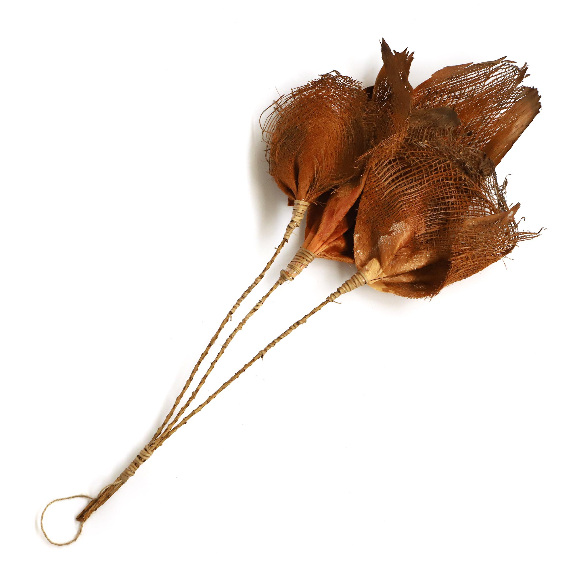 Palmyra Palmennetz, H 75 cm von fischer's lagerhaus