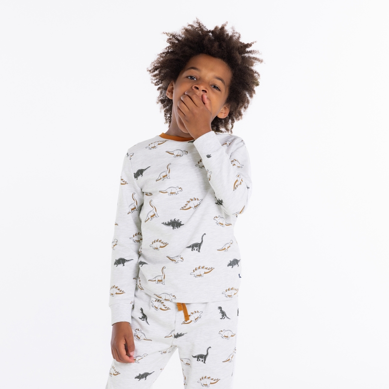 Pyjama 2 pièces en jersey motifs dinosaures gris garçon