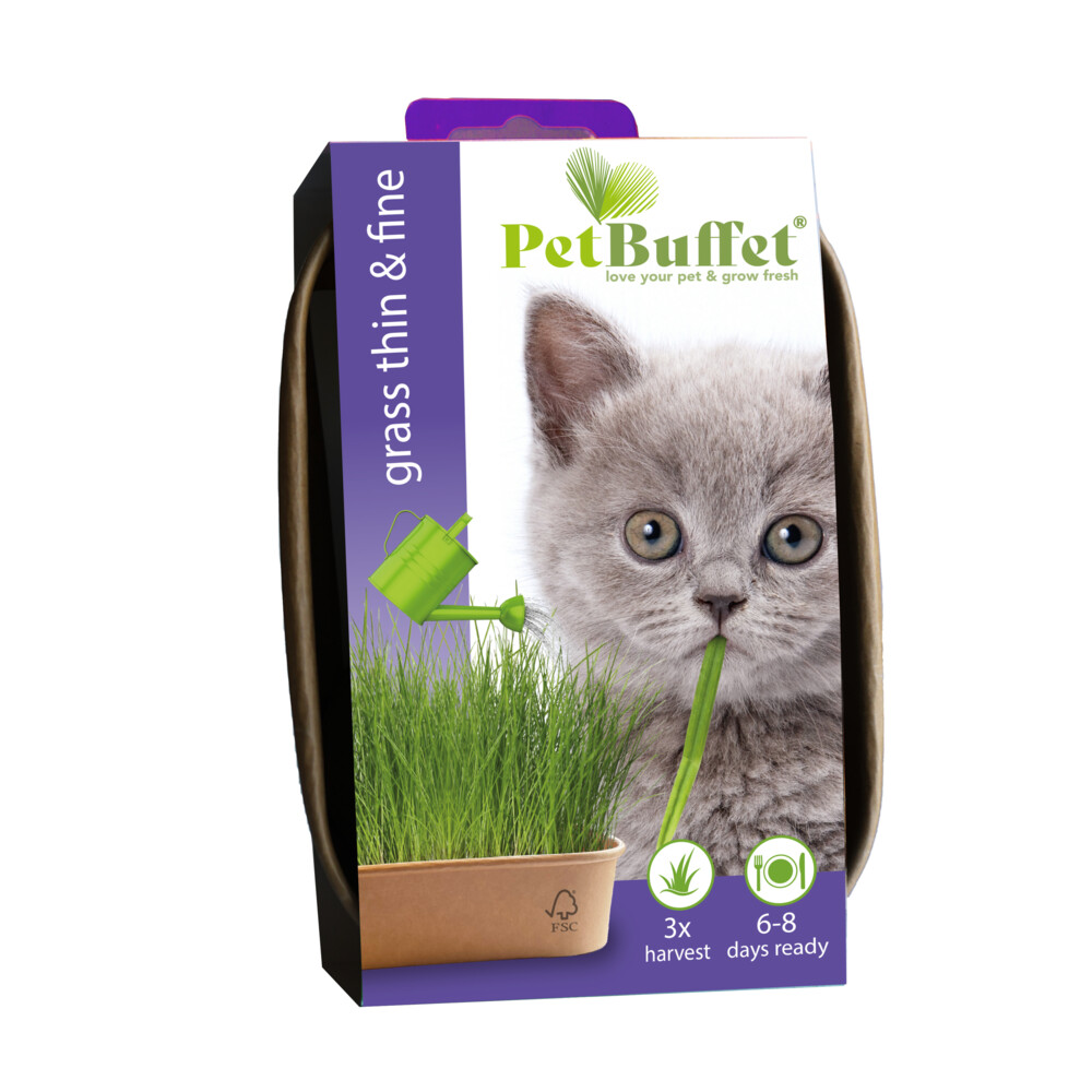 Baza Pet-Buffet Kattengras Thin & Fine Kitten