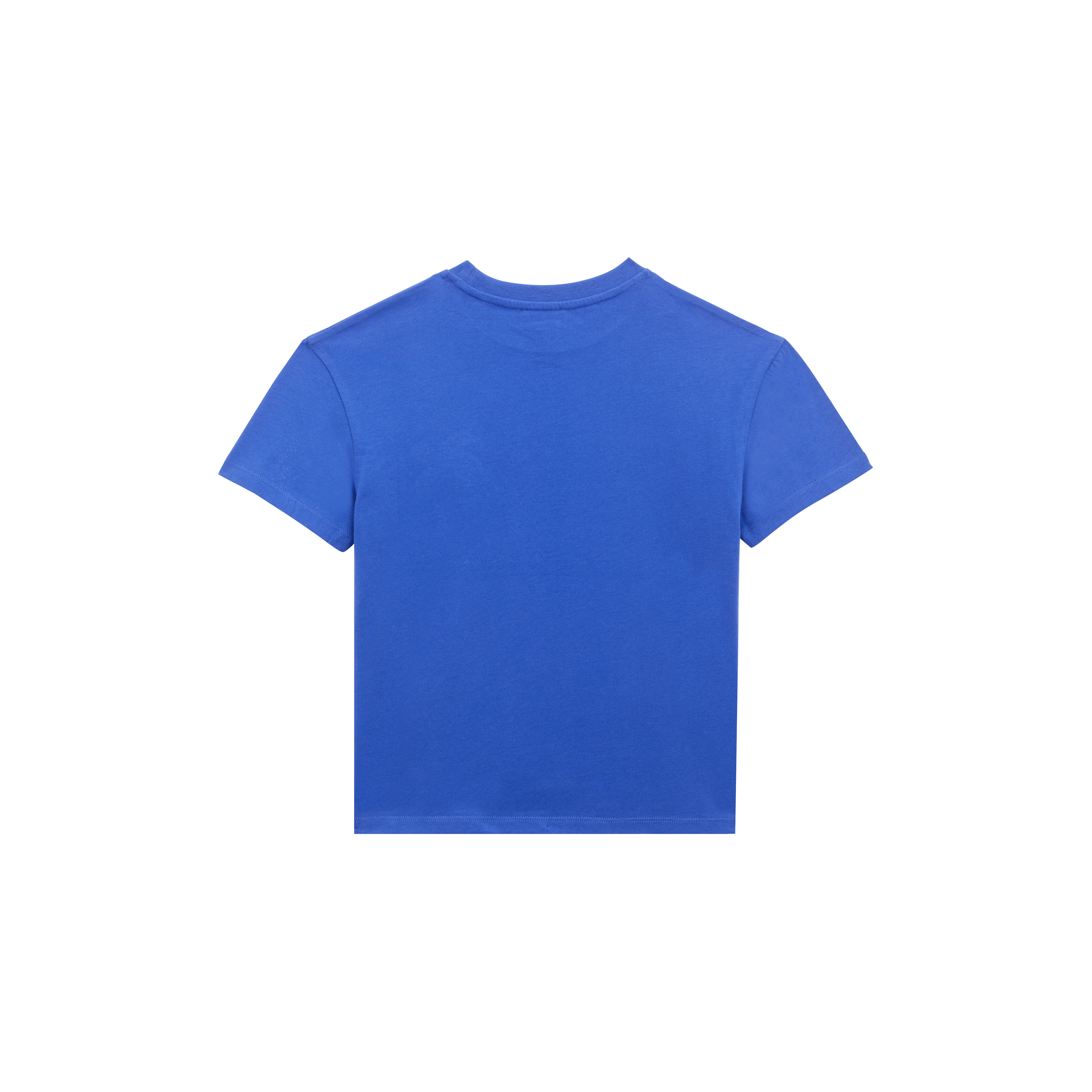 T-shirt en coton organique garçon Tortue brodée