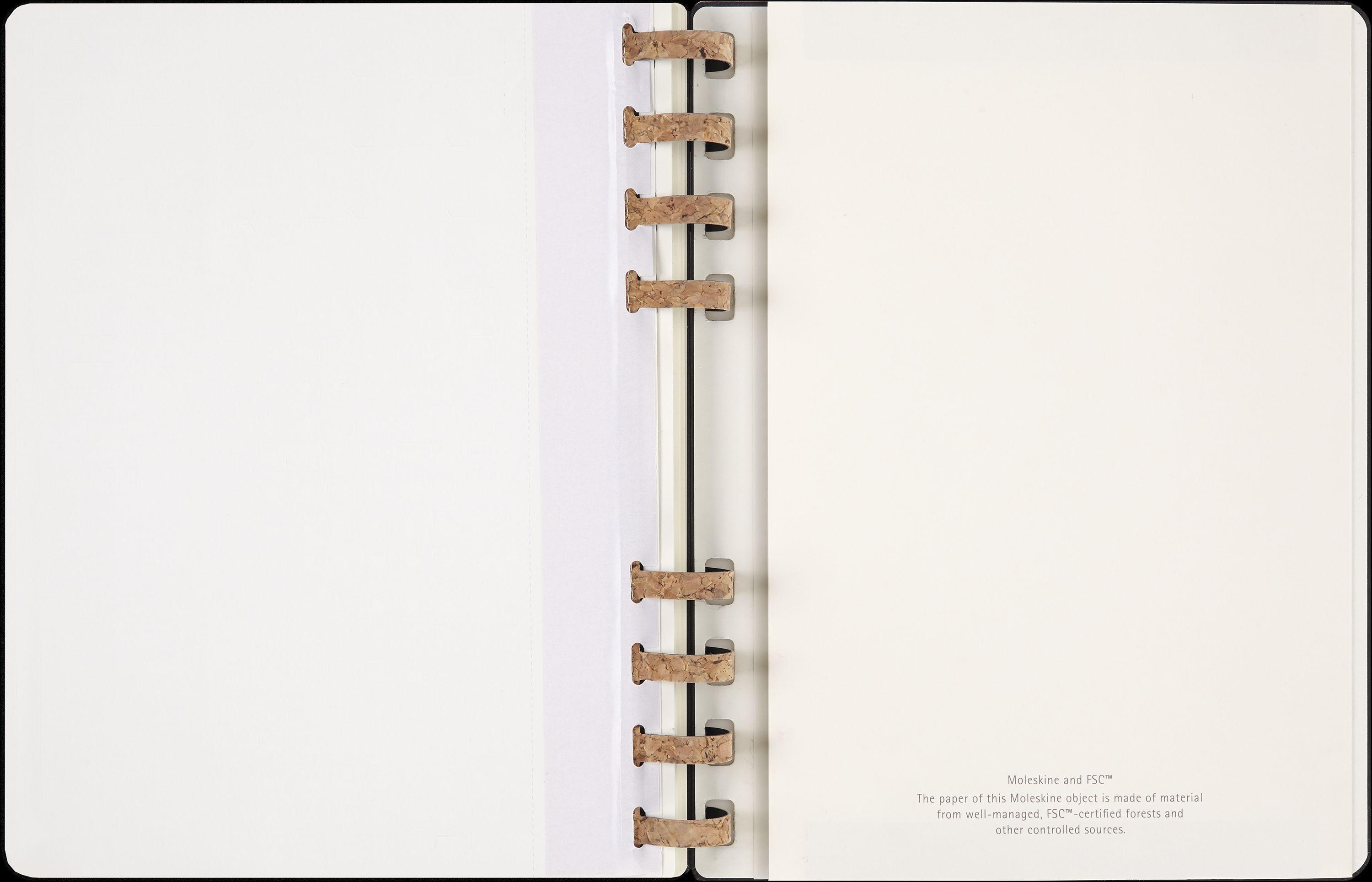 Moleskine 12 Monats Life Kalender mit Spiralbindung 2025, XL, Wochen-Monatskalender