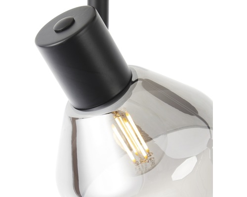Wandspot, 1-lichts, HxØ 12x11 cm, matzwart/rookglas
