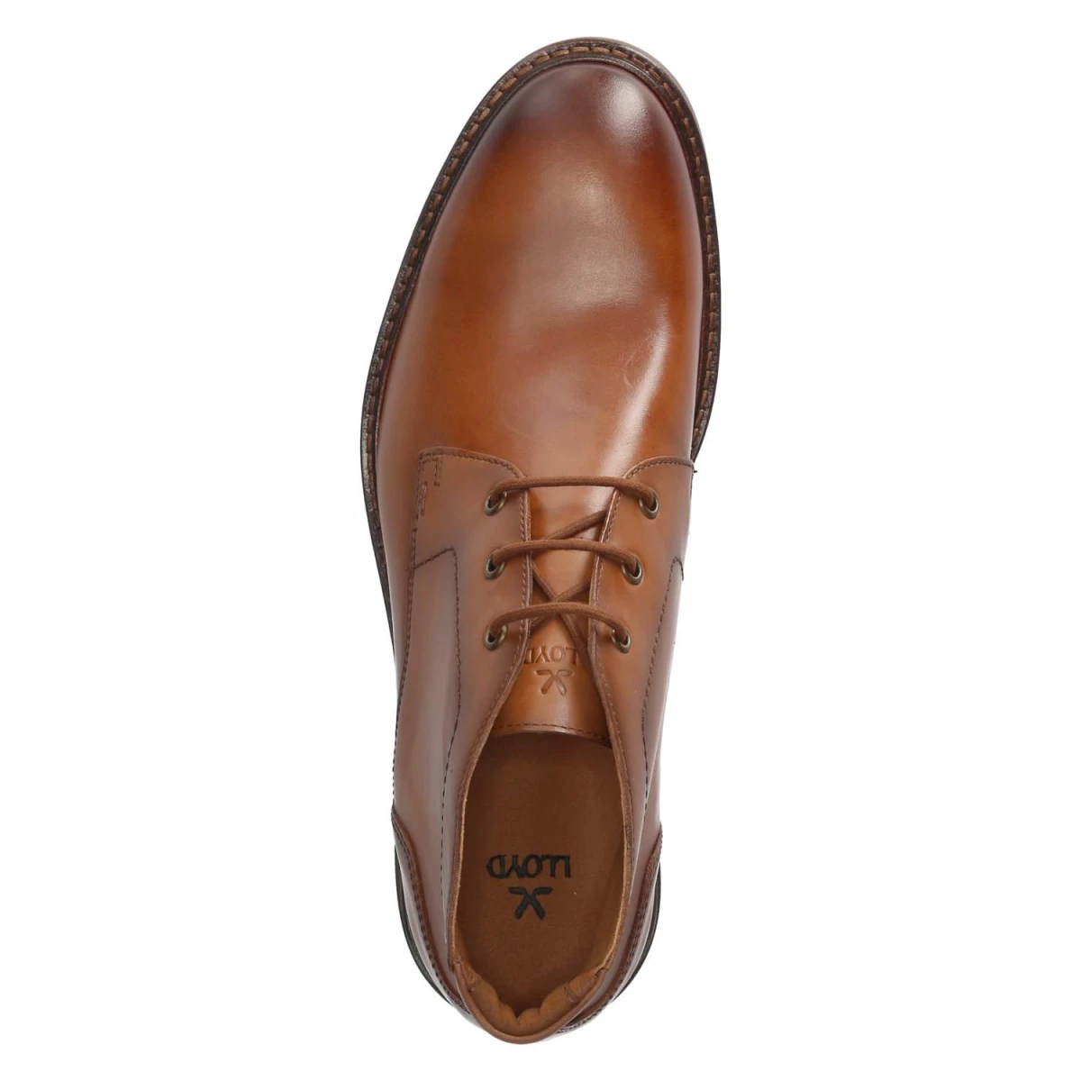 LloydStiefeletten VIBE 325 - 3 - CAMEL