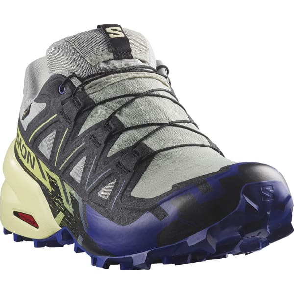 Chaussure trail SALOMON SPEEDCROSS 6 GORE-TEX WROUGHT IRON/CLEM