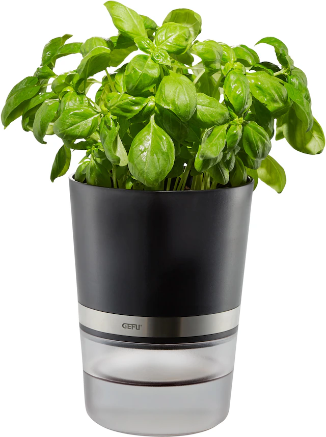 GEFU Kräutertopf »Botanico« mit Bewässerungssystem