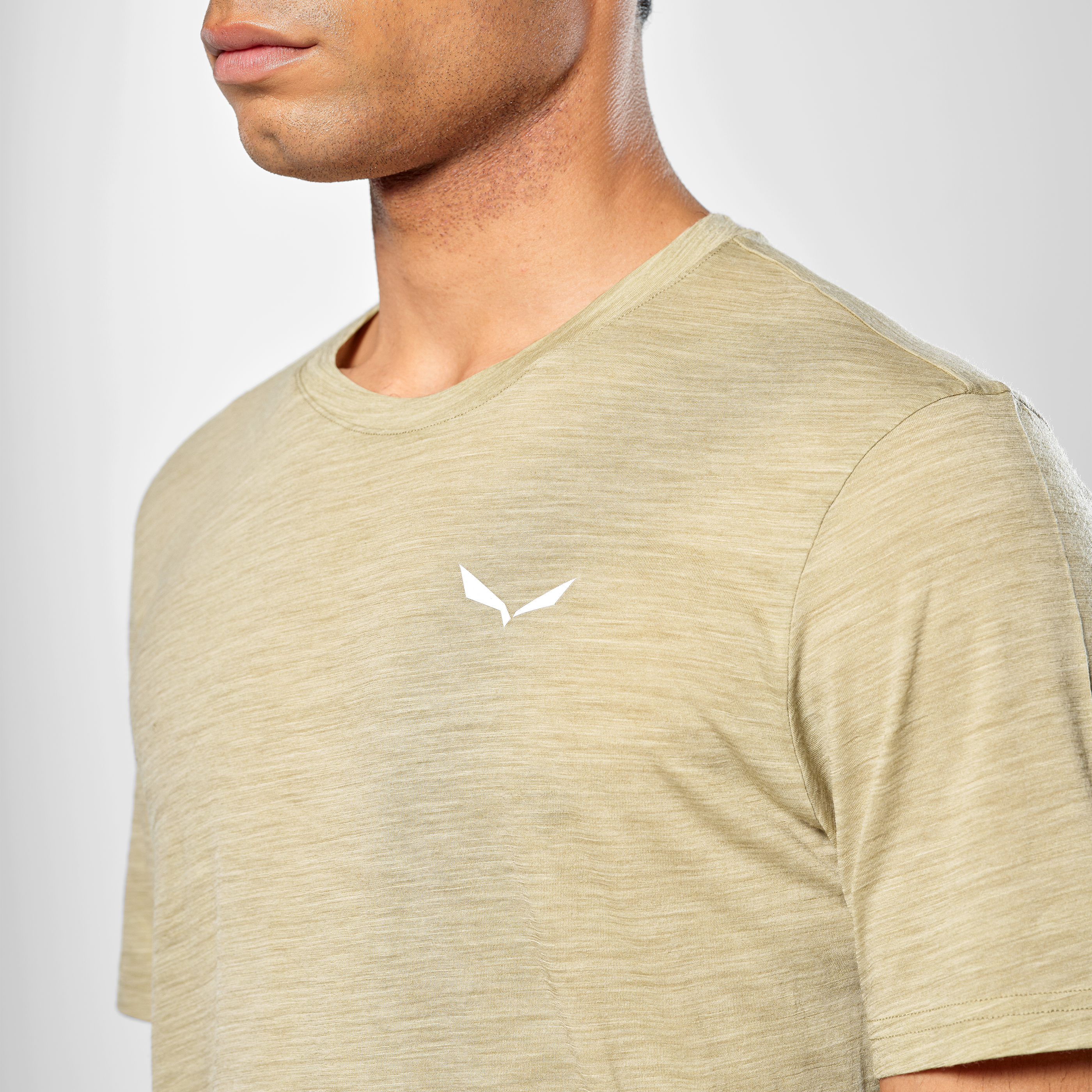 Salewa Eagle Minilogo Merino T-shirt M`s