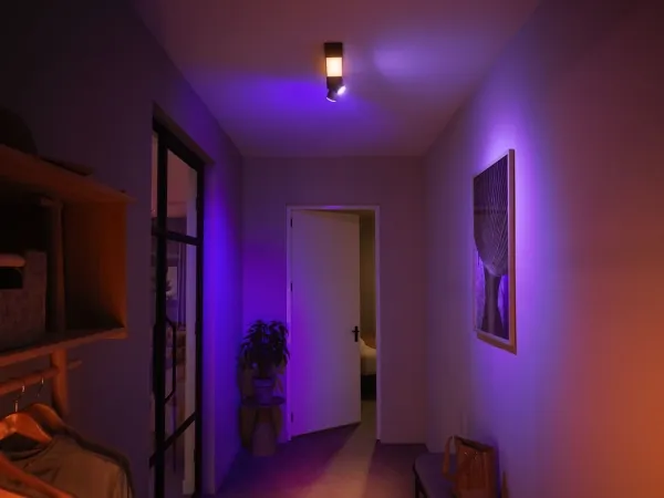 Philips Hue White and Color Ambiance Centris - Loftsspotlys - LED-lyspære/LED x 3 - 16 millioner farver - 2000-6500 K - sort