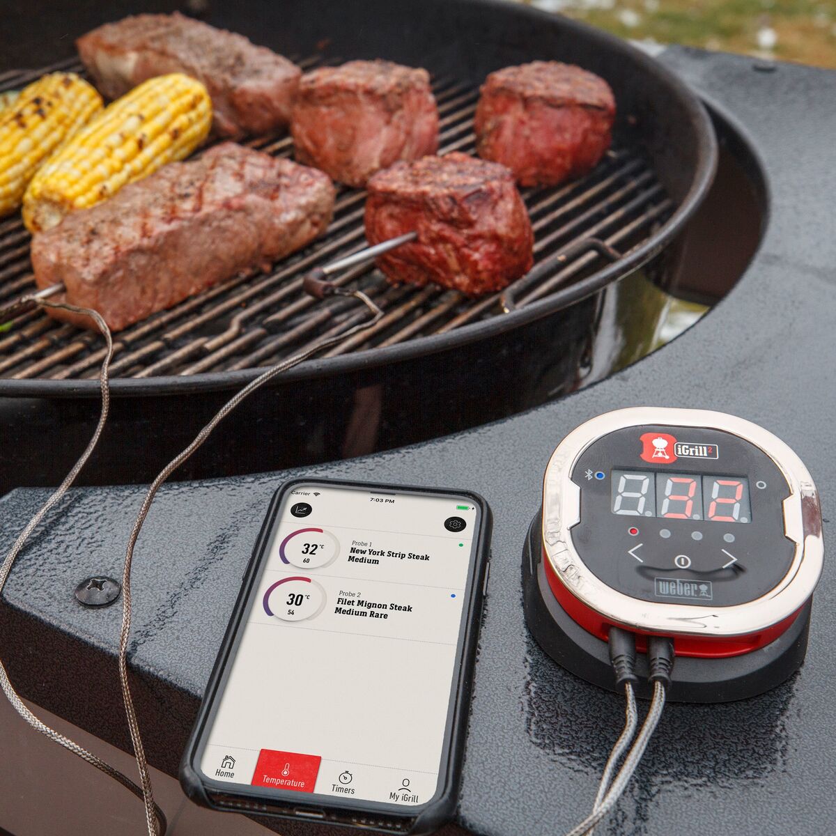 iGrill 2