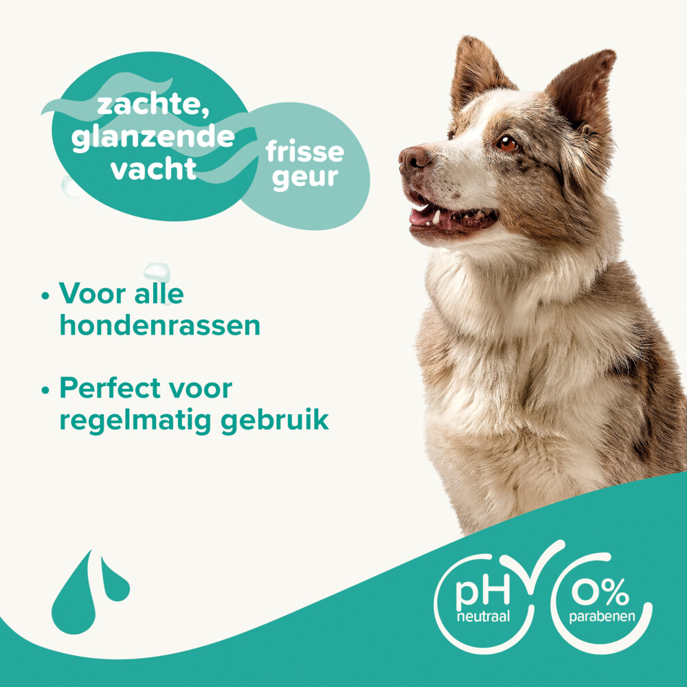 Beaphar Shampoo Hond Universeel250 ml