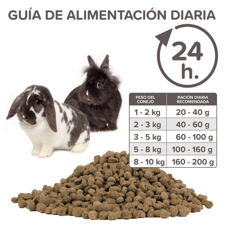 Ração Beaphar Care+ para coelhos idosos