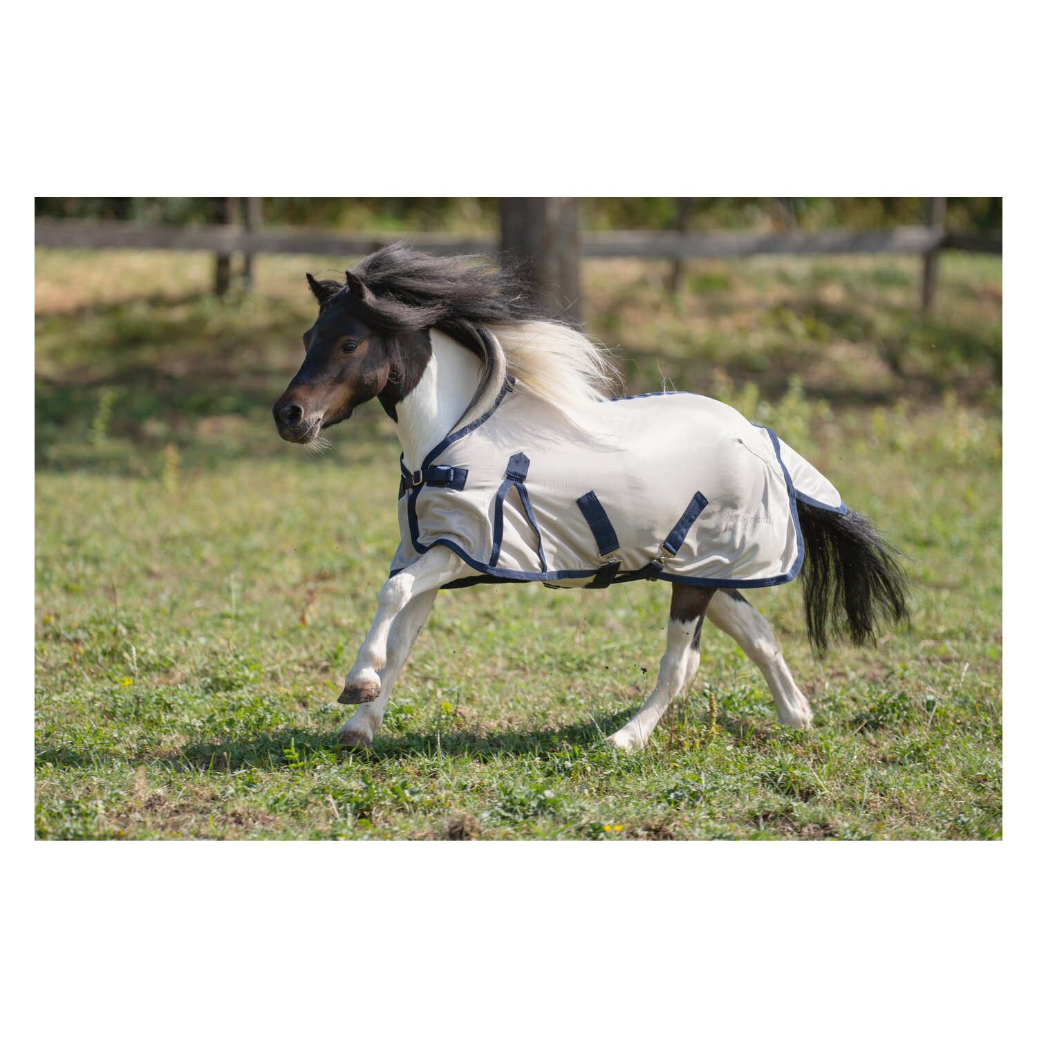 Horse-friends Fliegendecke für Shetty und Pony  - silber