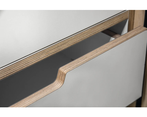 Buildify Campingbox Louis keukenmodule/kast voor VW T5/T6 500x600x720 mm (LxBxH) (zonder montage- en bevestigingsmateriaal)