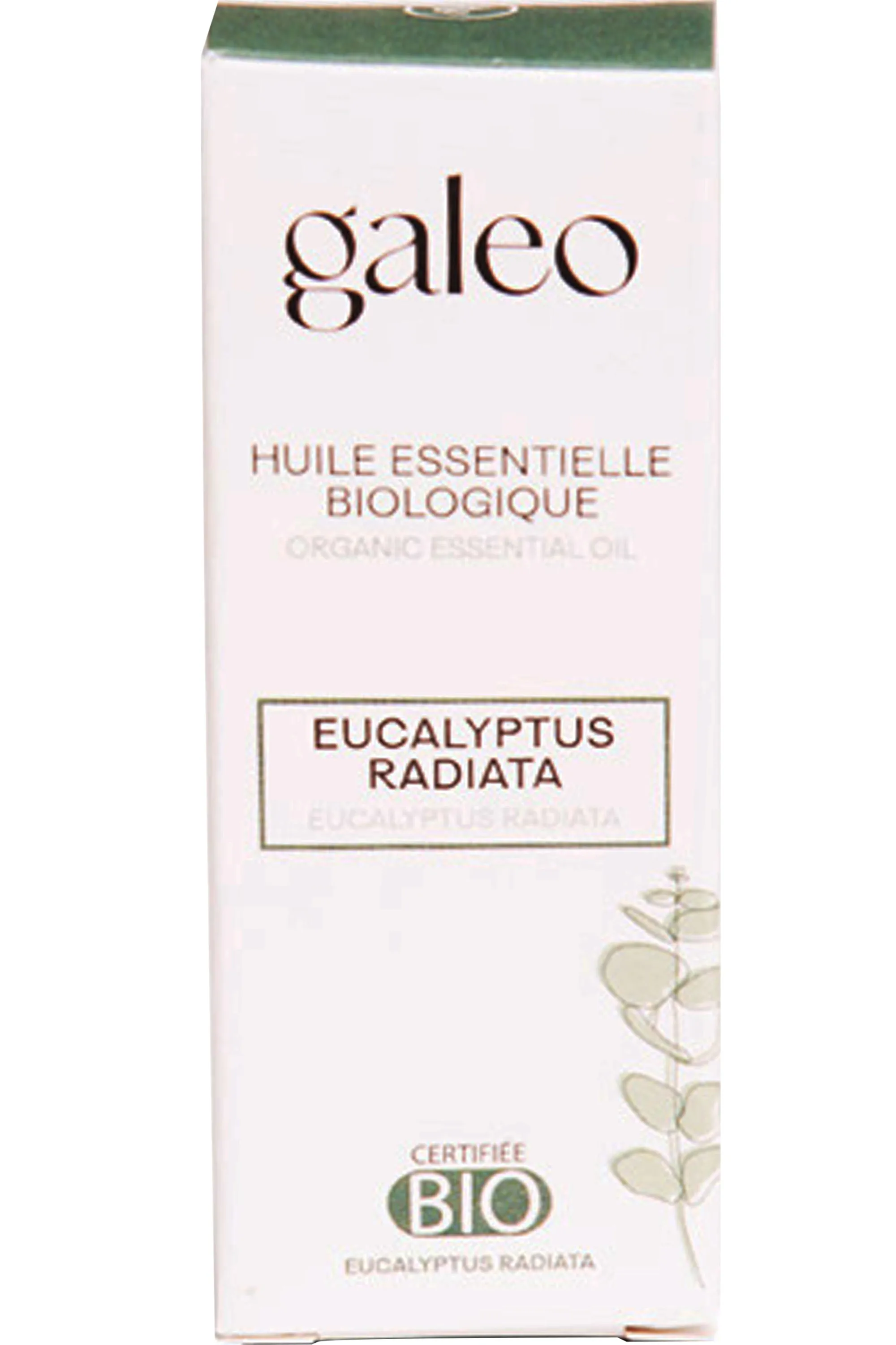 Galeo Huile essentielle biologique Eucalyptus Radiata-10 ml