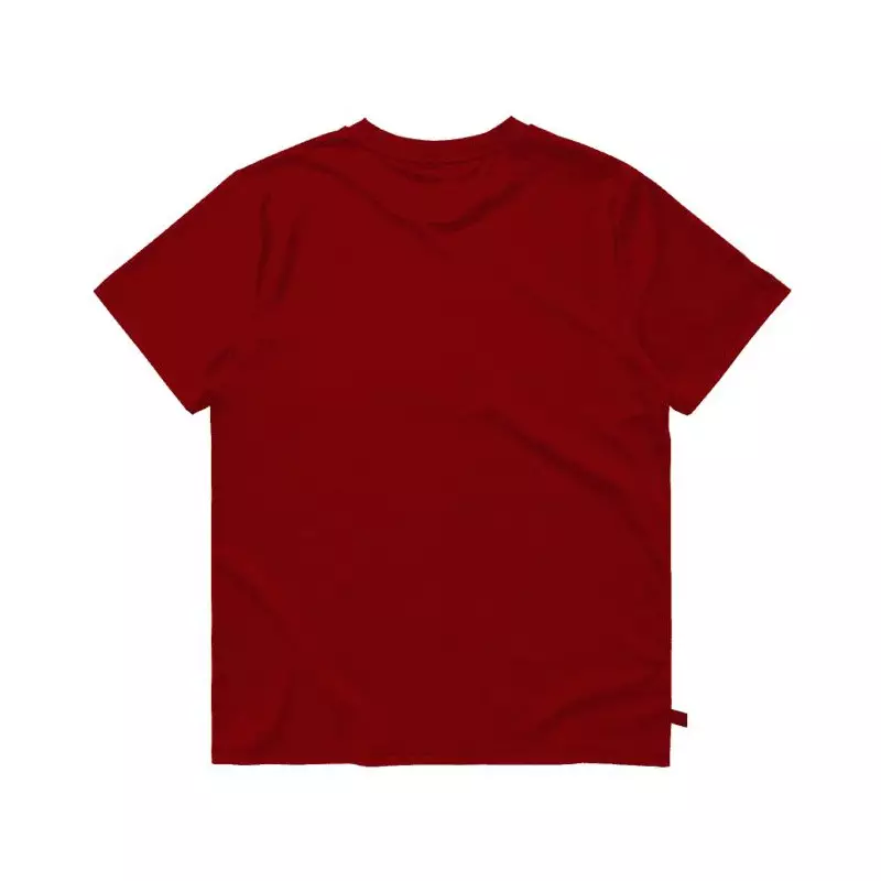 Tee shirt MYSTIC Icon Tee Men Red