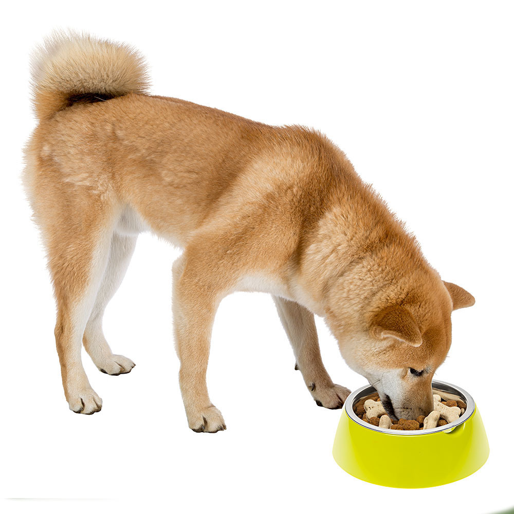 Jolie ferplast gamelle acier inoxydable facile à nettoyer pieds antidérapants chiens chats