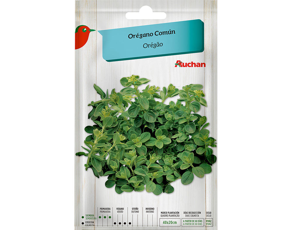 SEMENTE AUCHAN OREGÃO