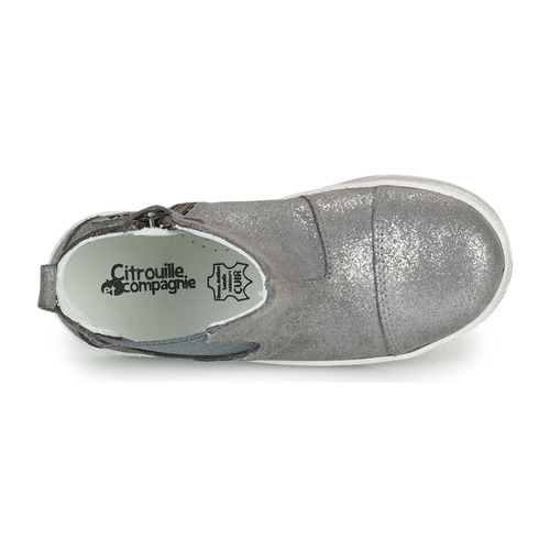 Citrouille et Compagnie - PIMANE - Gris