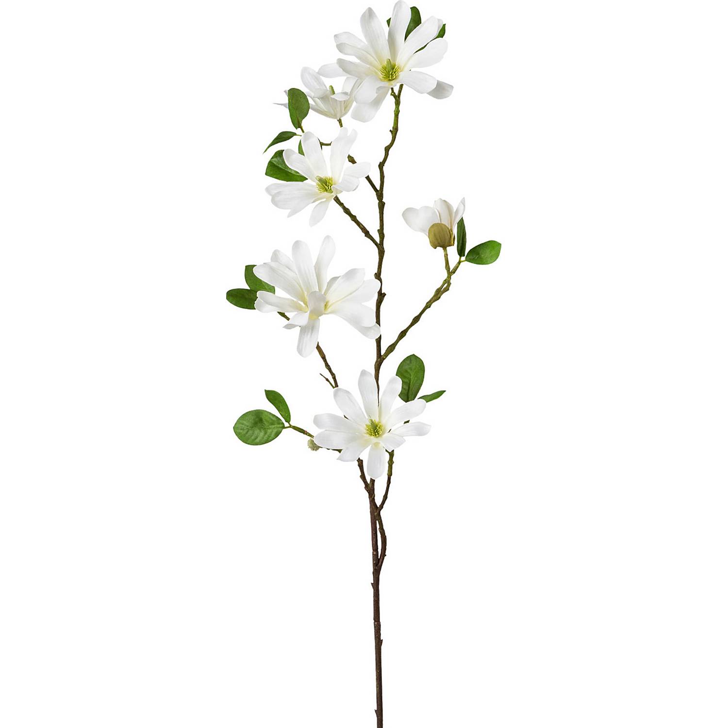 Kunstpflanze Sternmagnolie