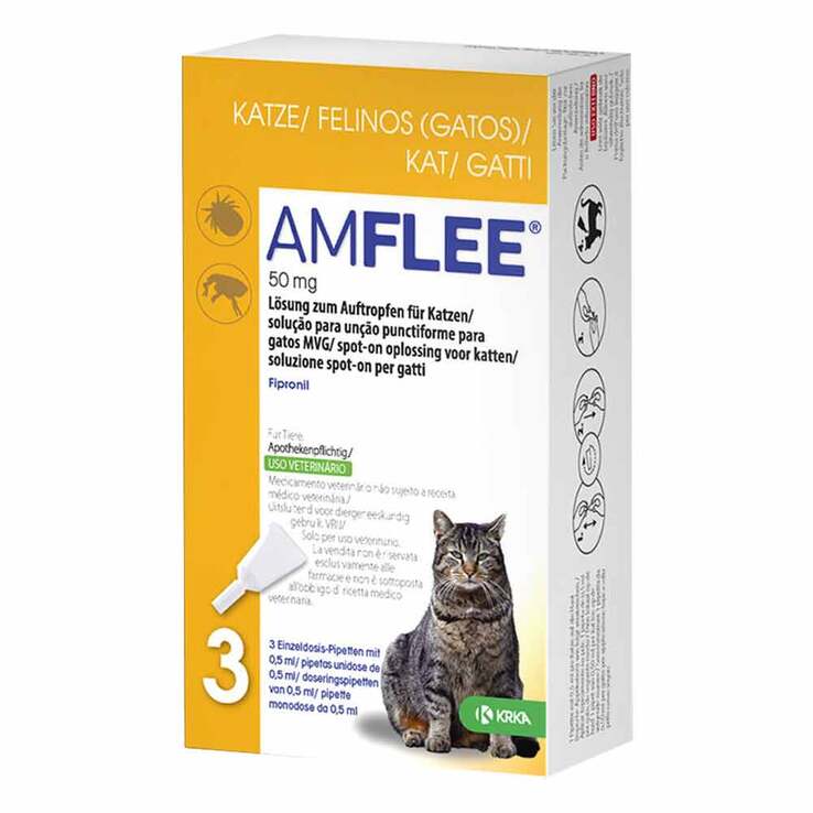 Amflee 50 mg Spot-On für Katzen, 3 St
