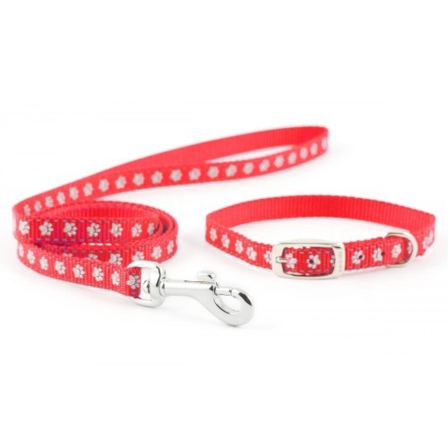 Conjunto de coleira e guia de nylon vermelho para filhotes.