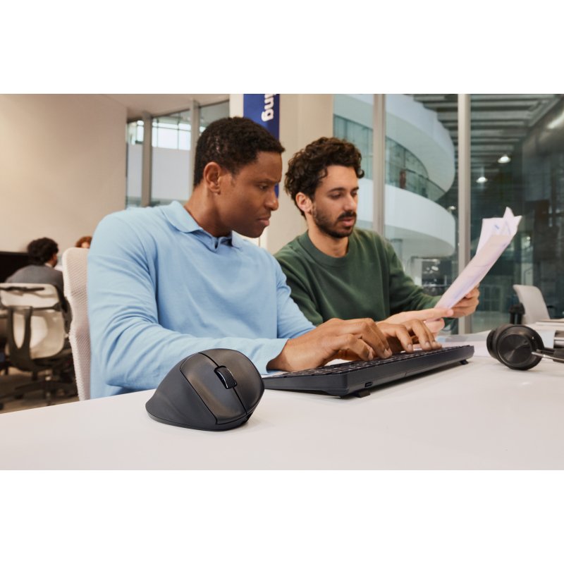 HP Souris ergonomique inclinable 725M
