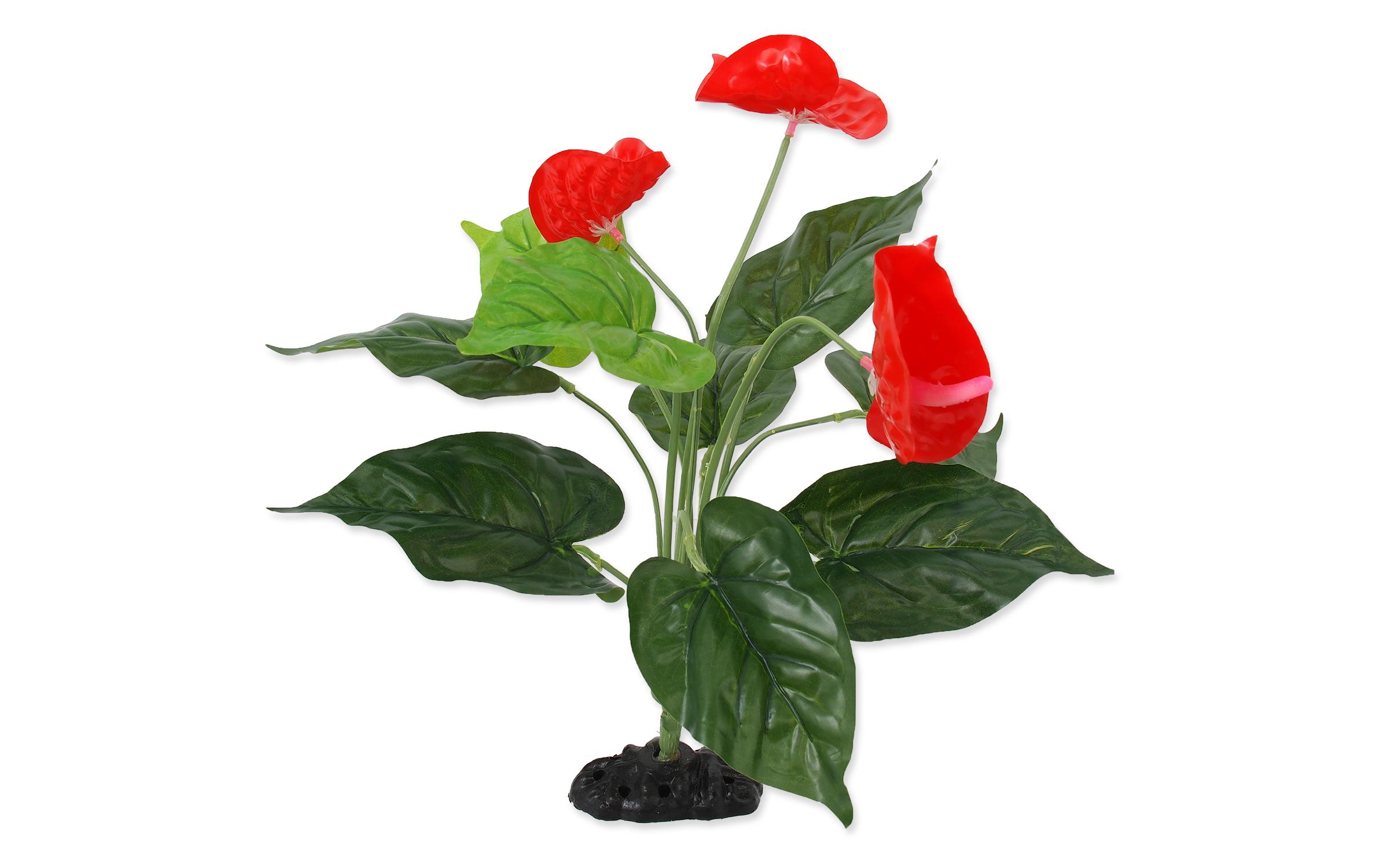 Anthurium, 40 cmKünstliche Pflanze im realistischen Design