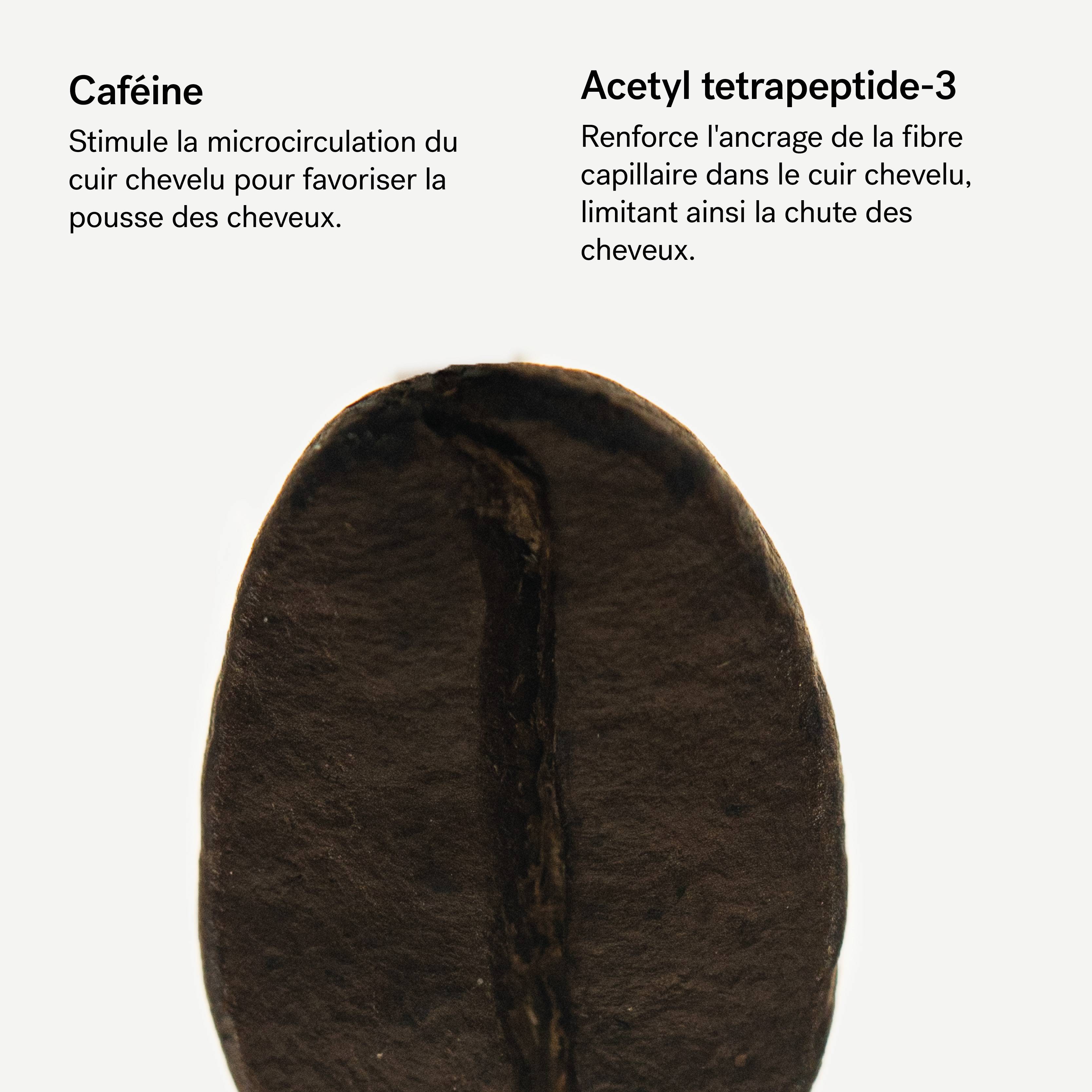 R13 - Shampoing traitant densifiant<br>Caféine 1% + Acetyl tetrapeptide-3
