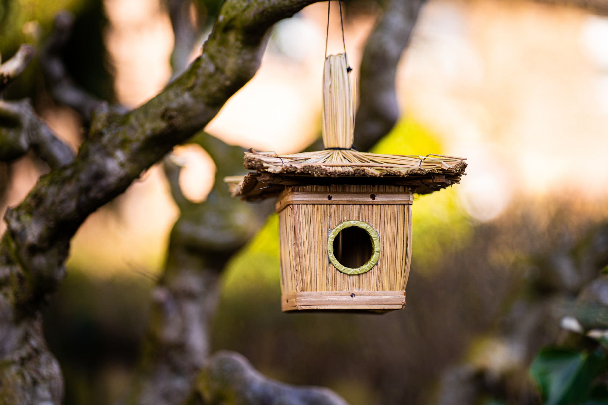 Vogelhaus aus Stroh, L 17 cm, B 17 cm, H 21 cm günstig bestellen