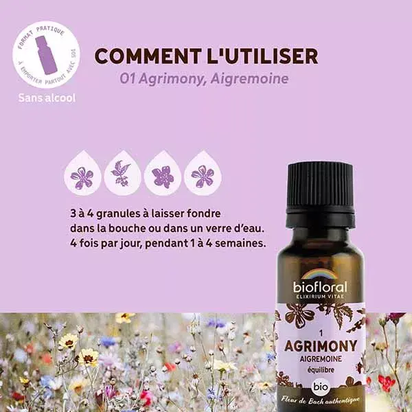 Biofloral 01 Agrimônia Grânulos de Agrimônia Orgânica - Florais de Bach em Grânulos 19,5g